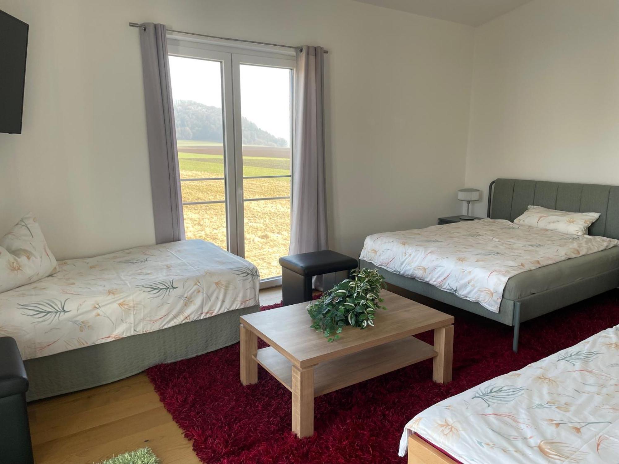 Feine Auszeit Apartment Готмадинген Екстериор снимка